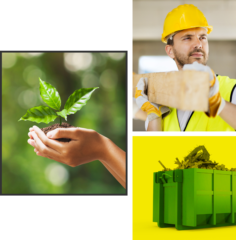 images